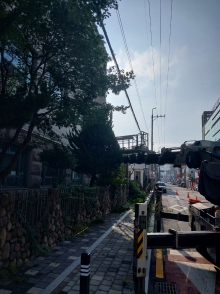 2023년 병원 전정작업